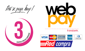 Pago por Internet